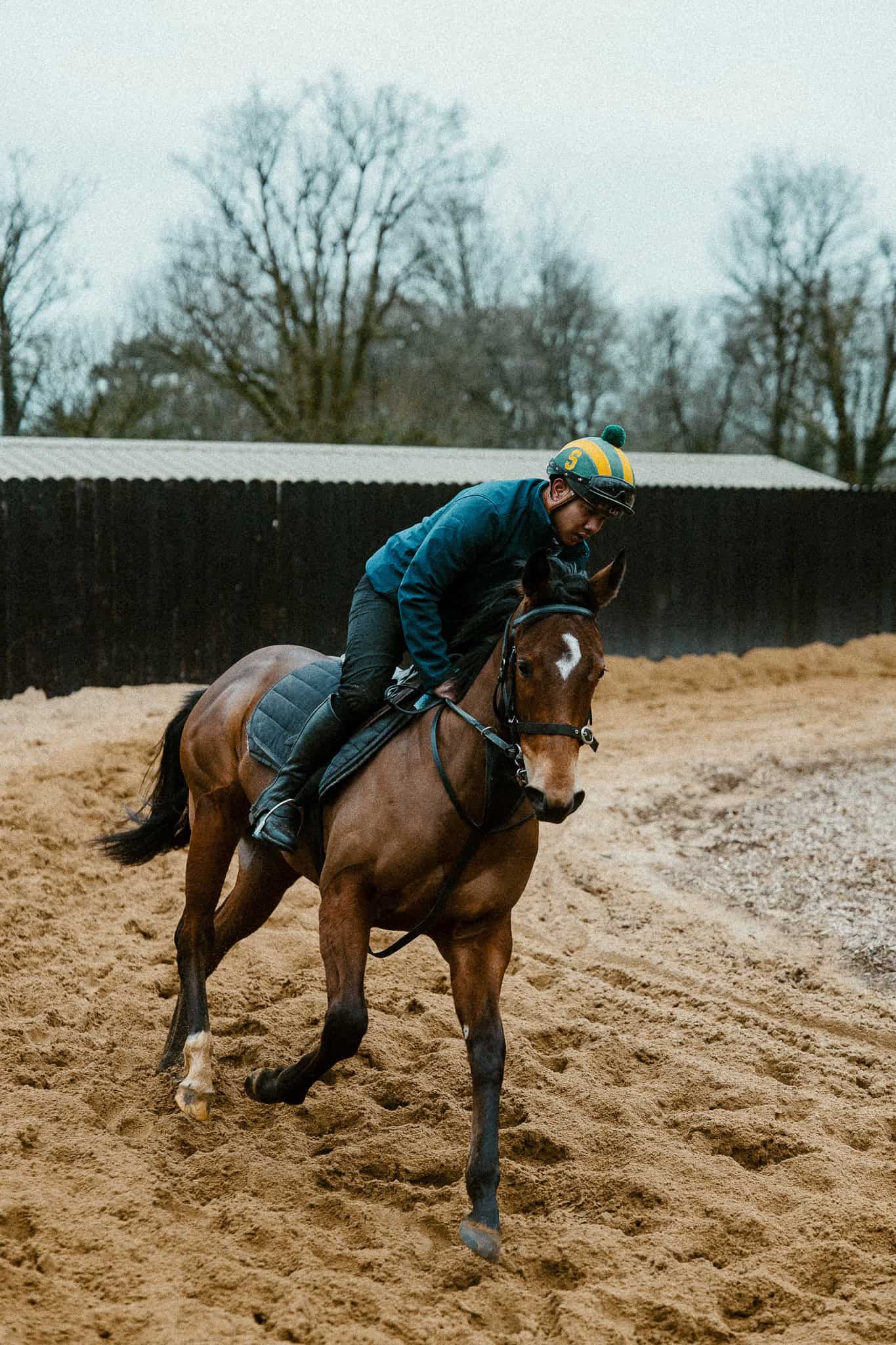 Sand Ring at Rockfield Farm