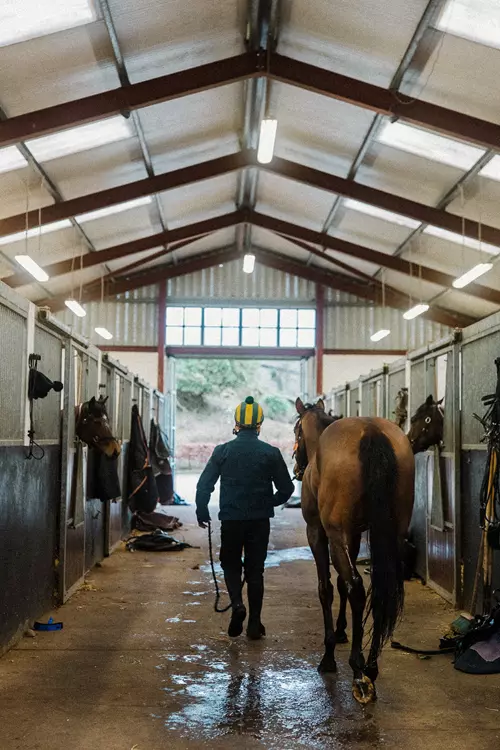 Rockfield Farm American Barn Rockfield Farm American Barn