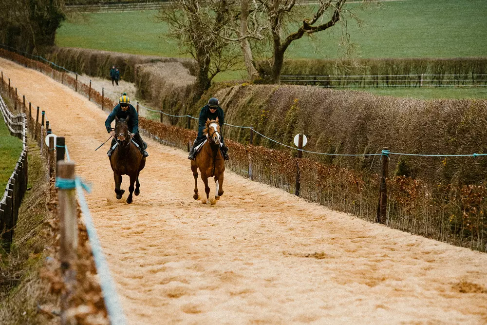 Sand and Sawdust Gallop at Rockfield Farm