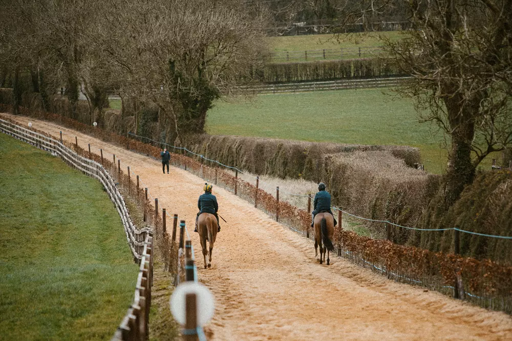 Sand and Sawdust Gallop at Rockfield Farm