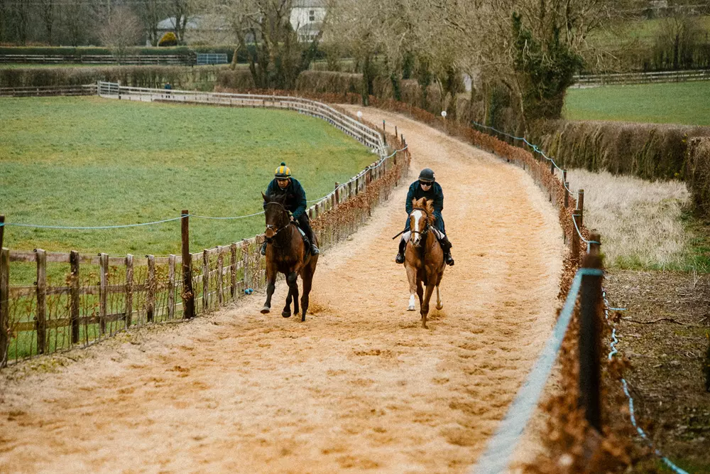 Sand and Sawdust Gallop at Rockfield Farm