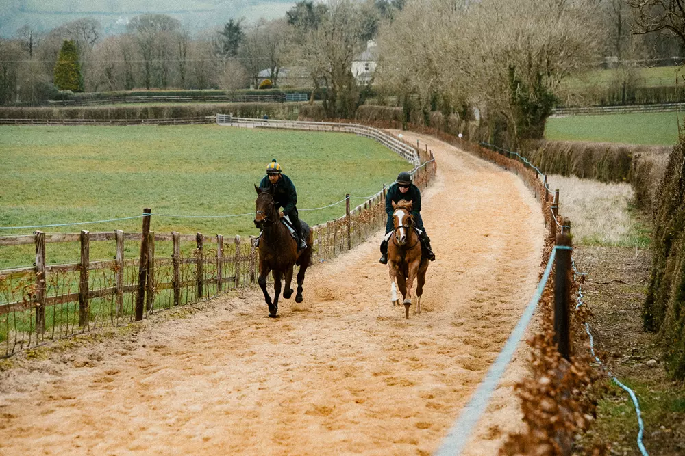 Sand and Sawdust Gallop at Rockfield Farm