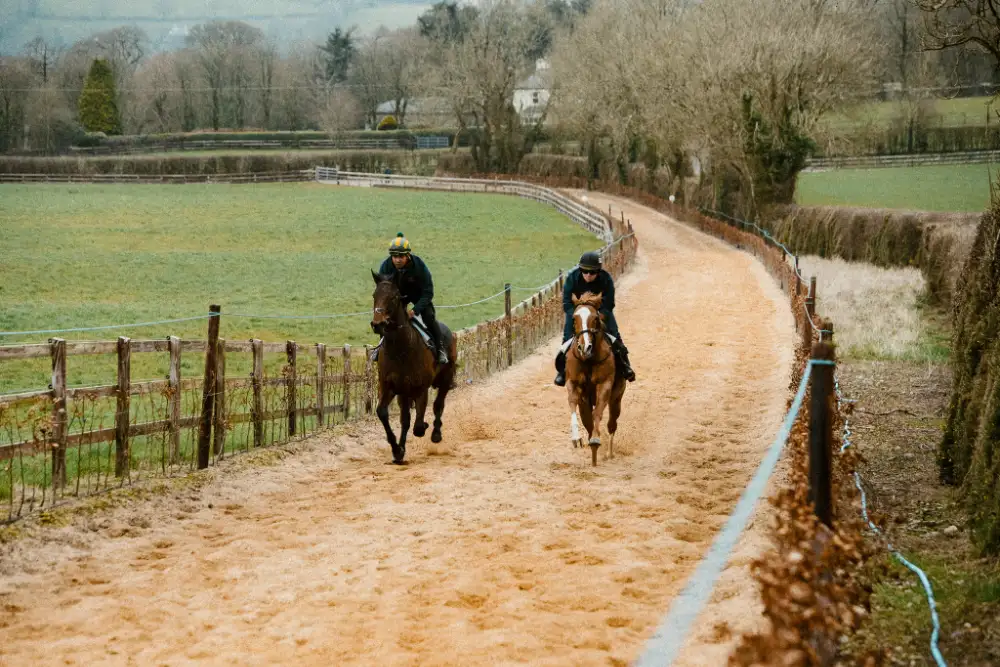 Paddocks