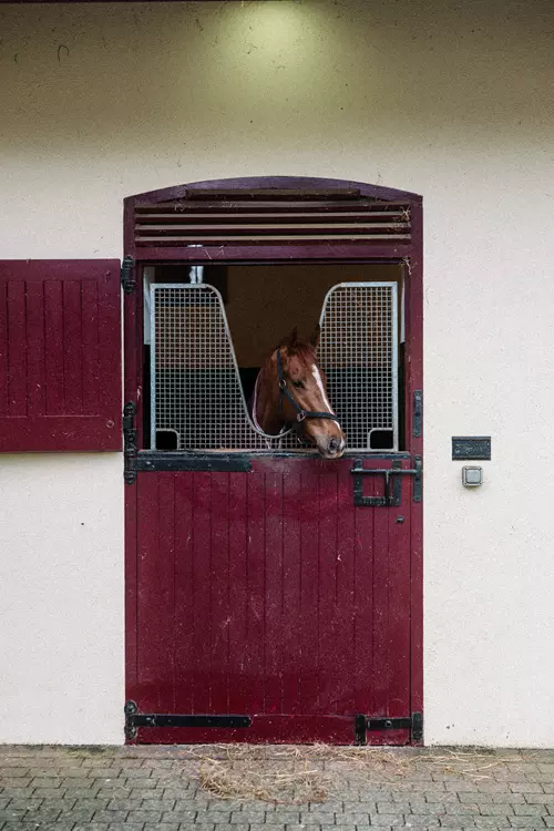 Rockfield Farm Stable Yard